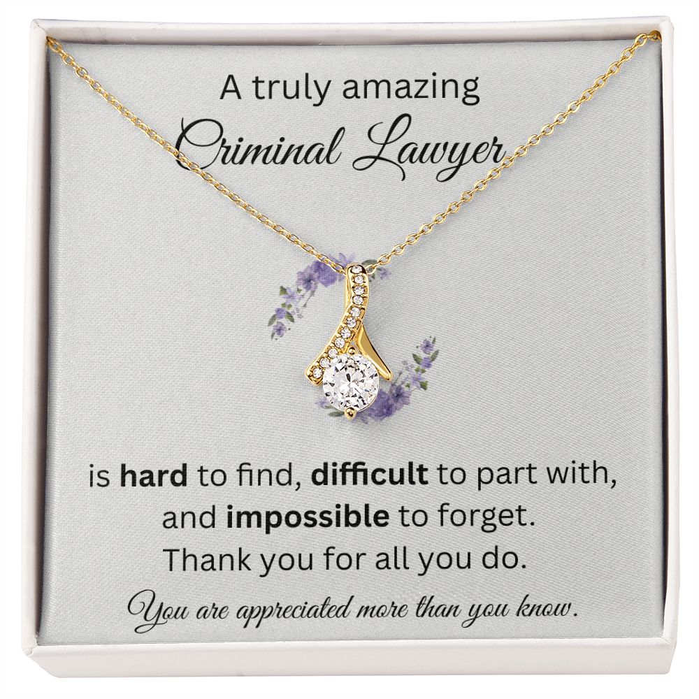 A Truly Amazing Criminal Lawyer - Alluring Beauty Necklace