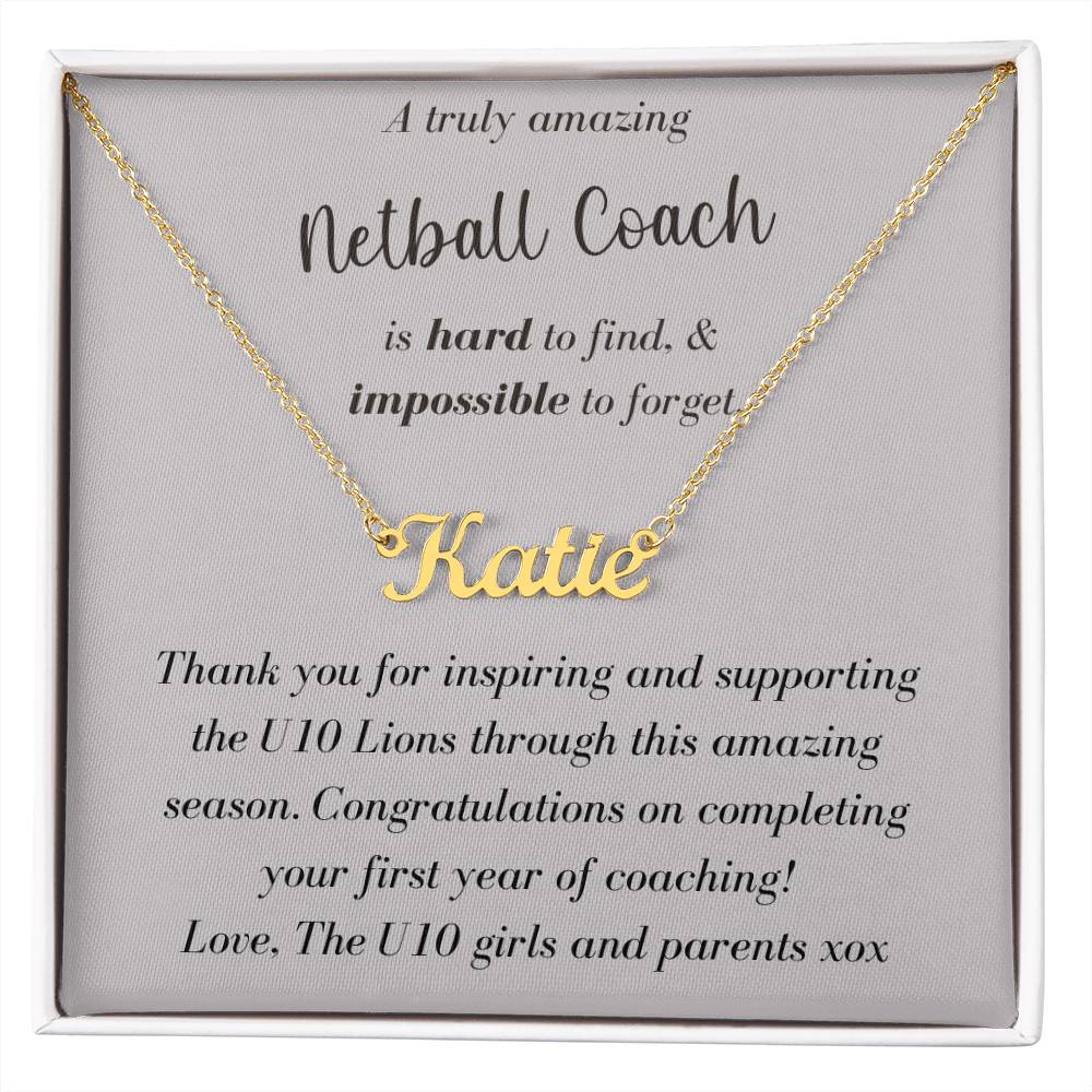 Custom Netball Coach