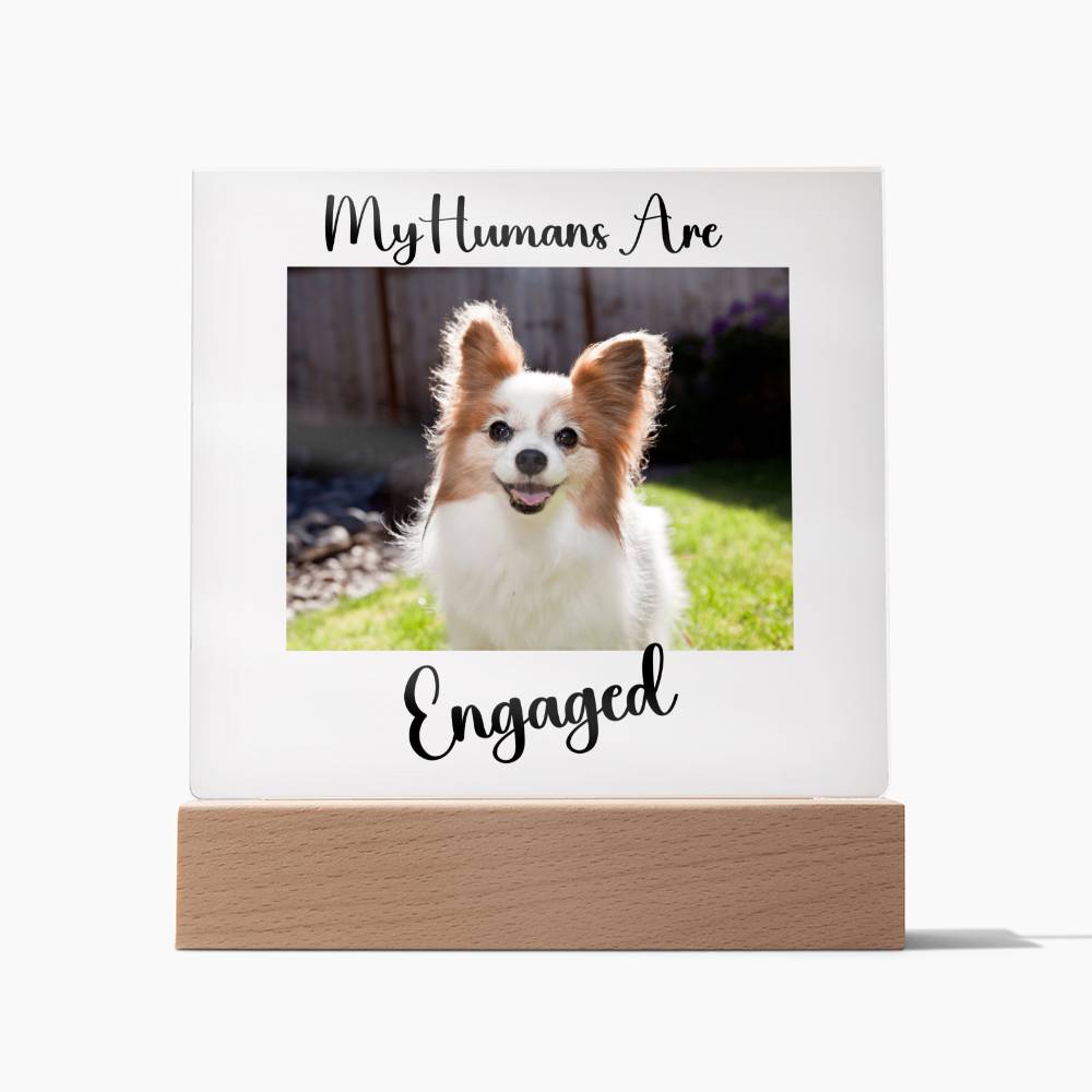My Humans Are Engaged - Acrylic Square Plaque
