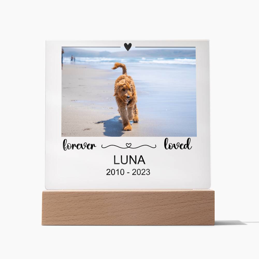 Luna Acryl Plaque