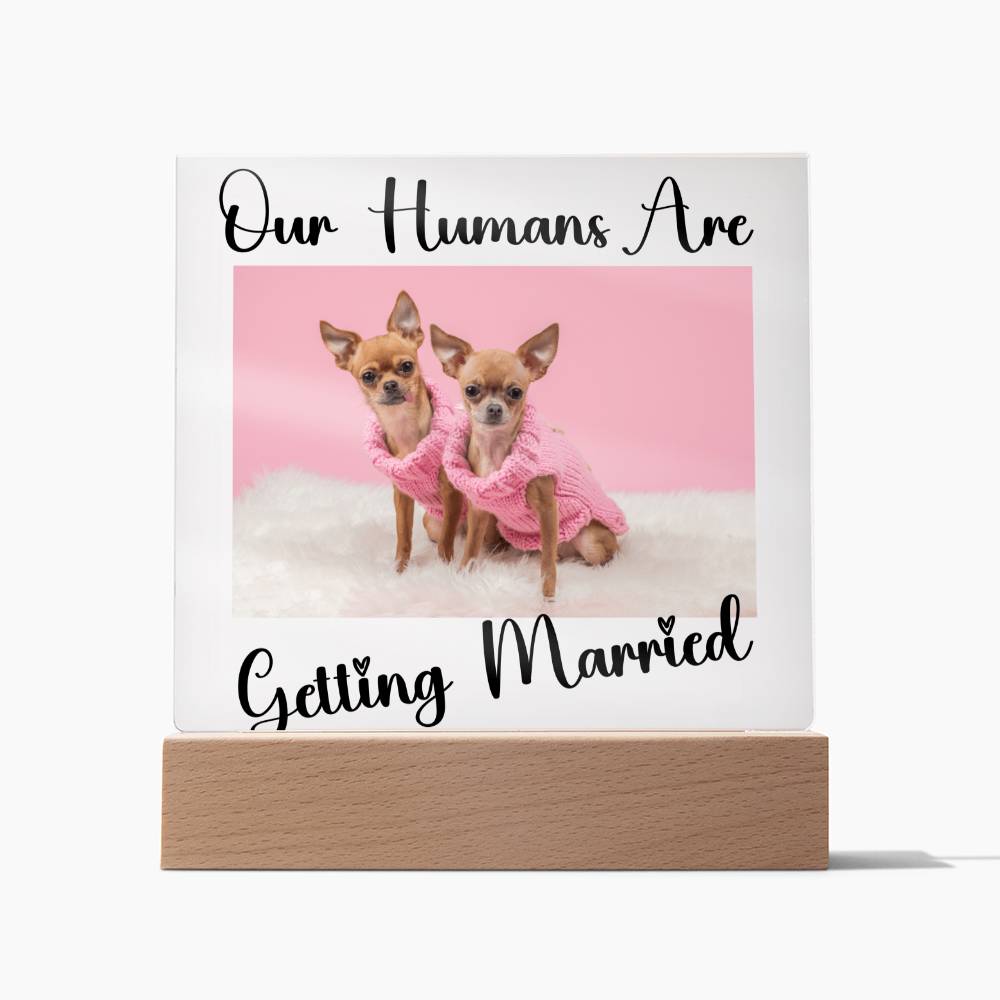 Our Humans Are Getting Married - Acrylic Square Plaque