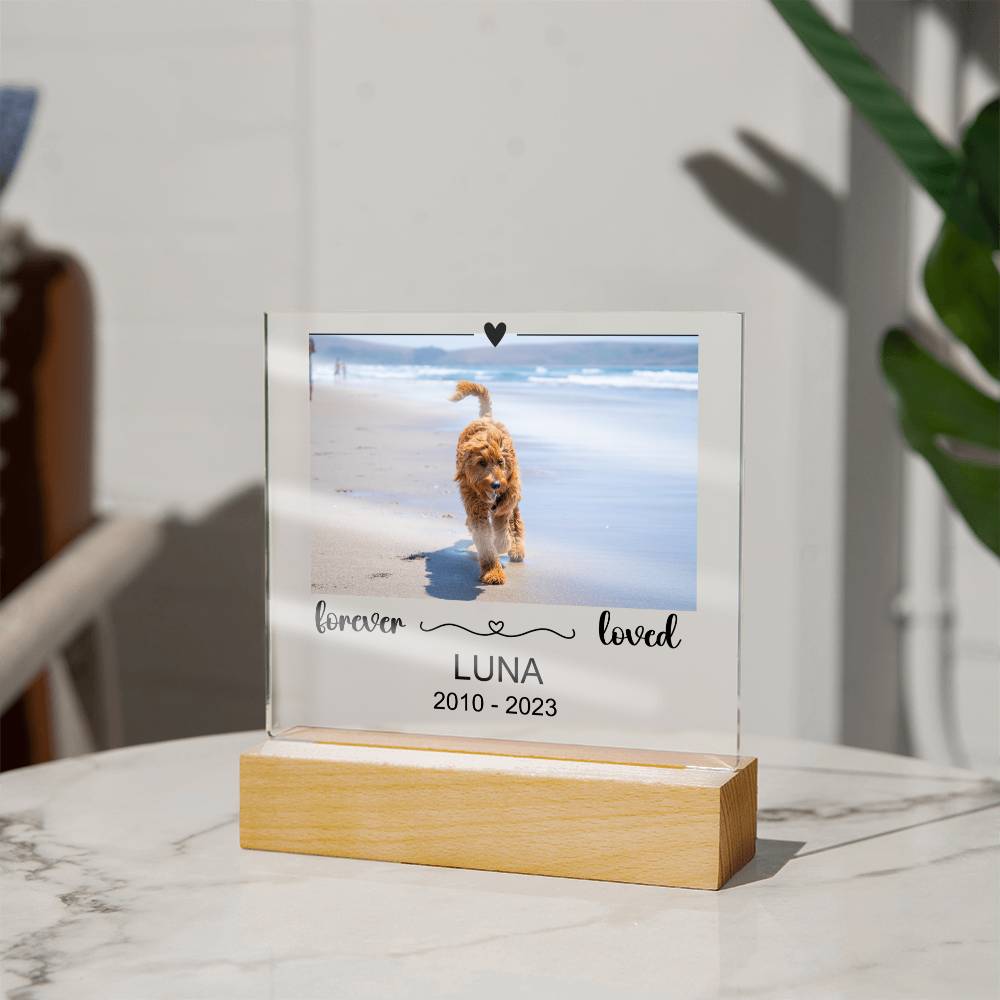 Luna Acryl Plaque