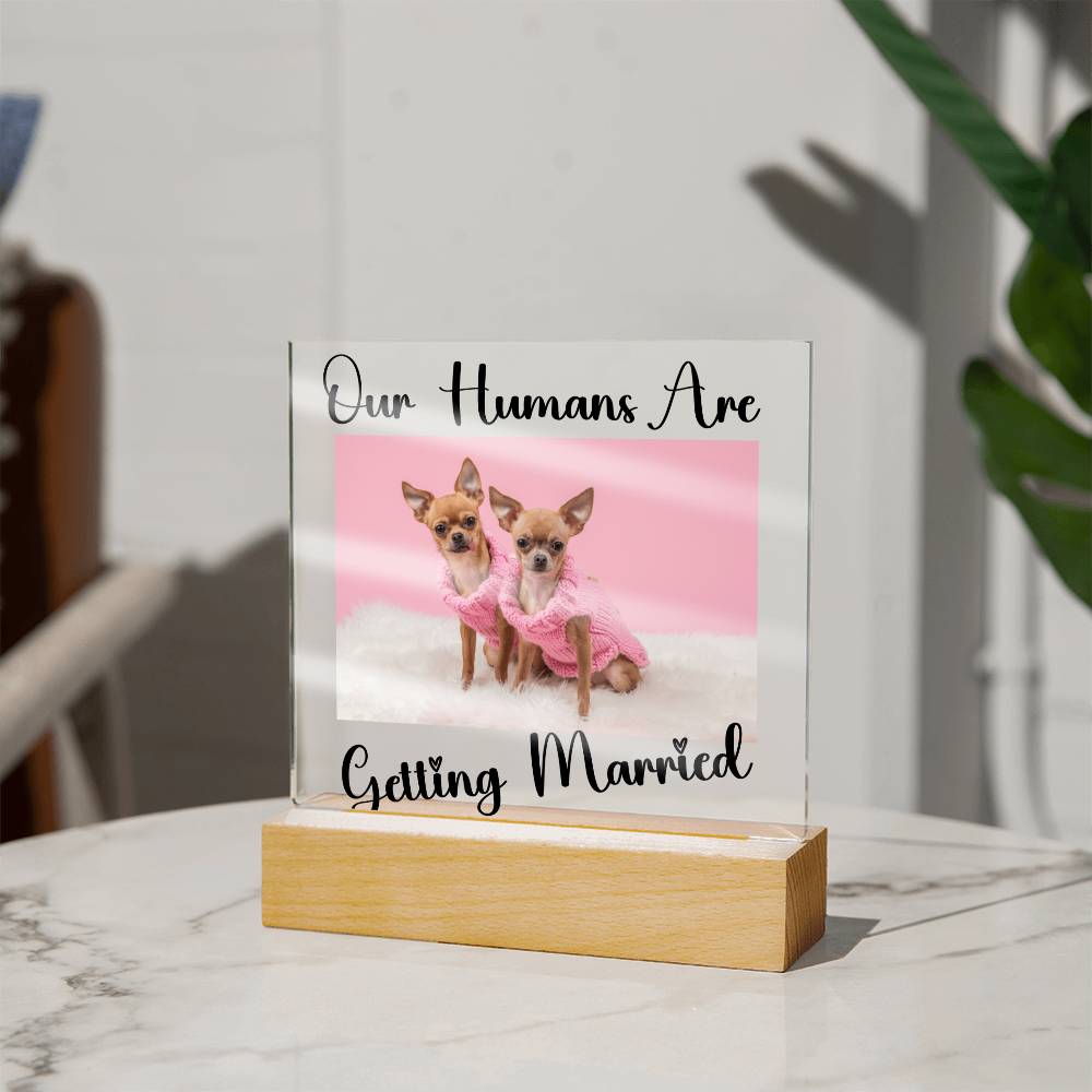 Our Humans Are Getting Married - Acrylic Square Plaque