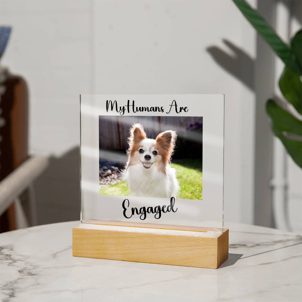 My Humans Are Engaged - Acrylic Square Plaque