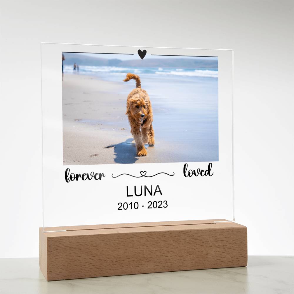 Luna Acryl Plaque