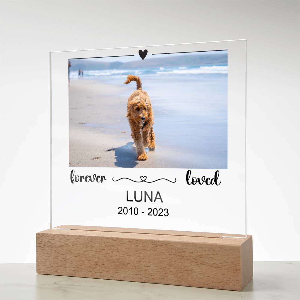 Luna Acryl Plaque