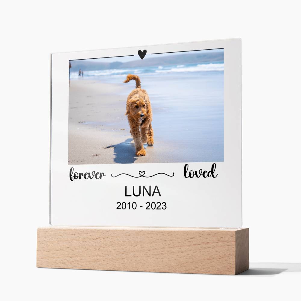 Luna Acryl Plaque