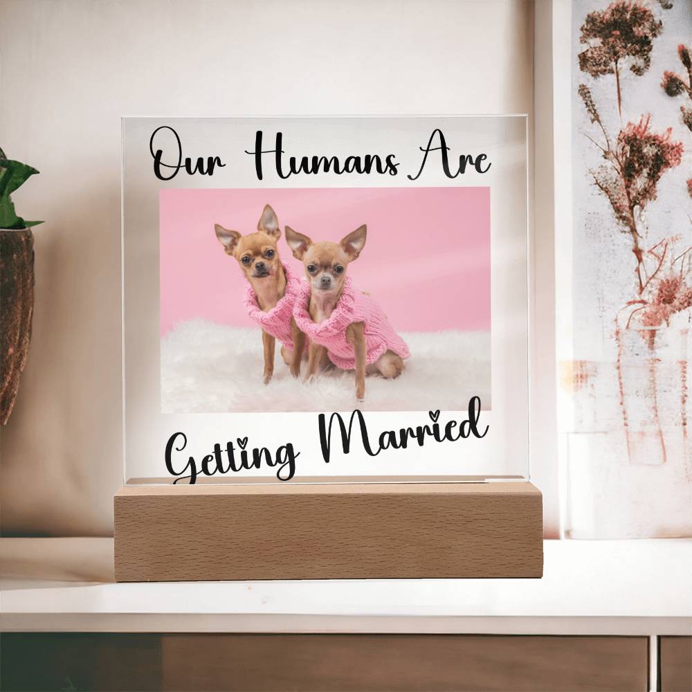 Our Humans Are Getting Married - Acrylic Square Plaque
