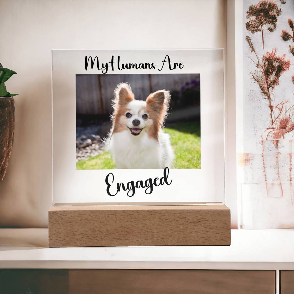 My Humans Are Engaged - Acrylic Square Plaque