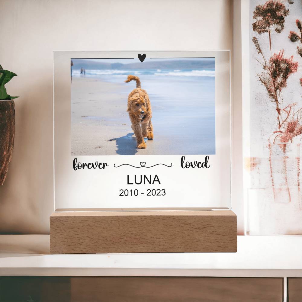 Luna Acryl Plaque