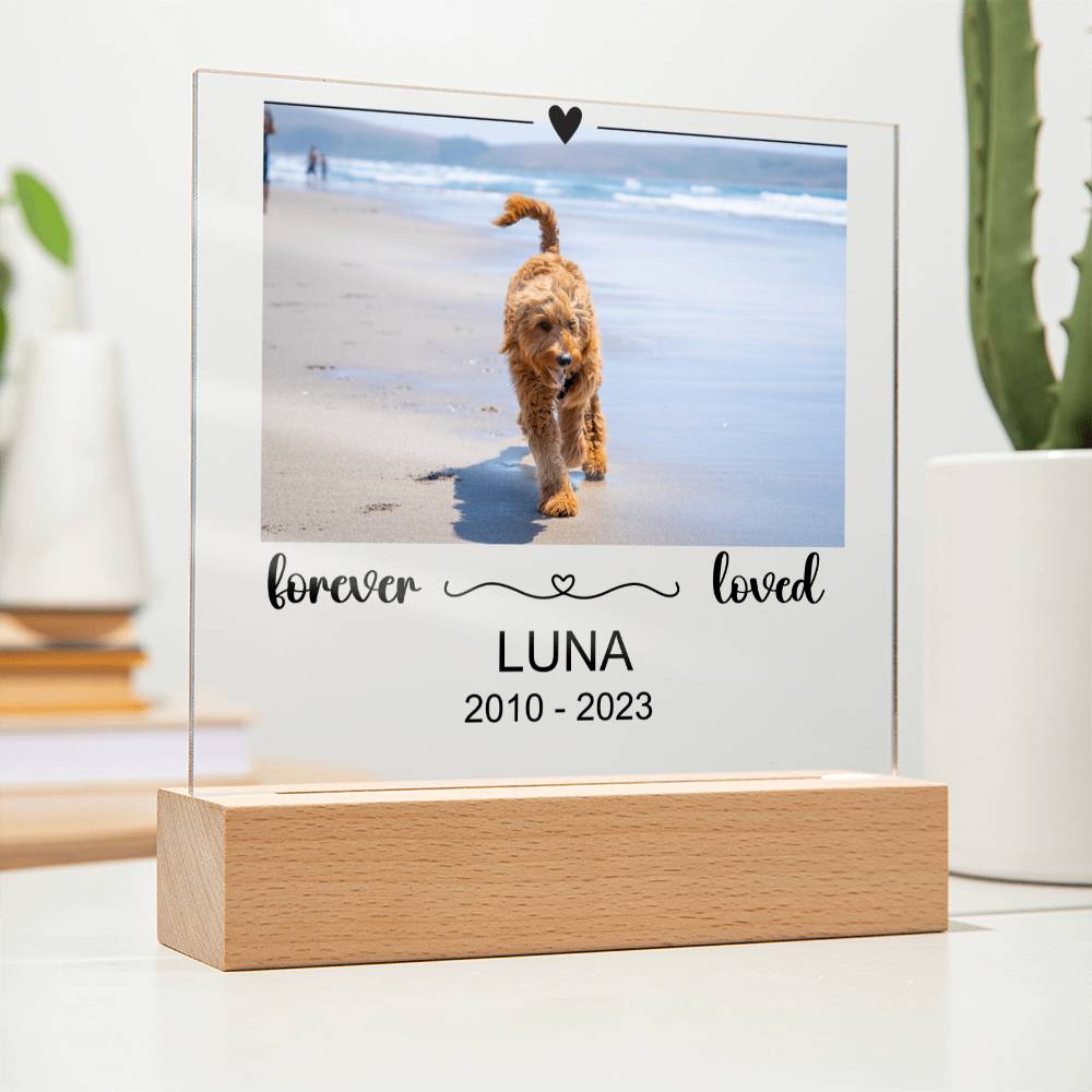 Luna Acryl Plaque