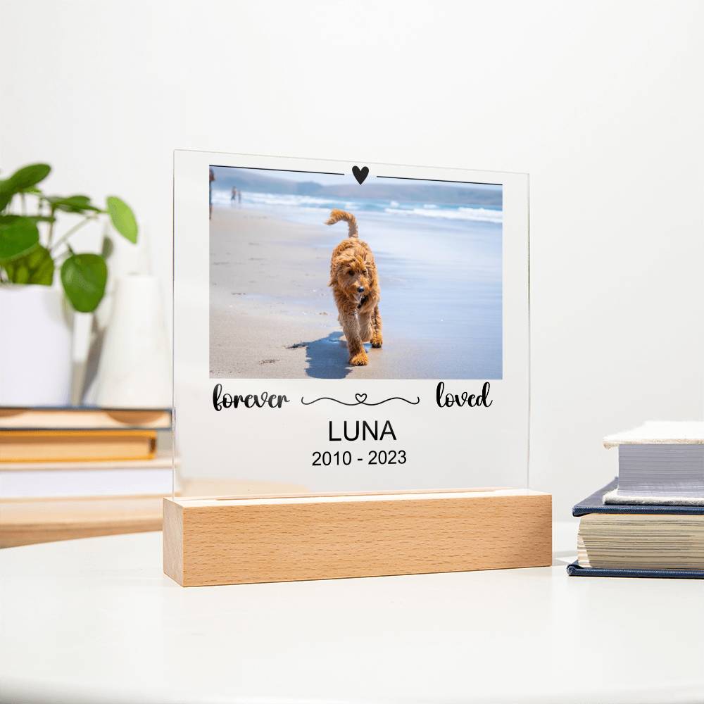 Luna Acryl Plaque