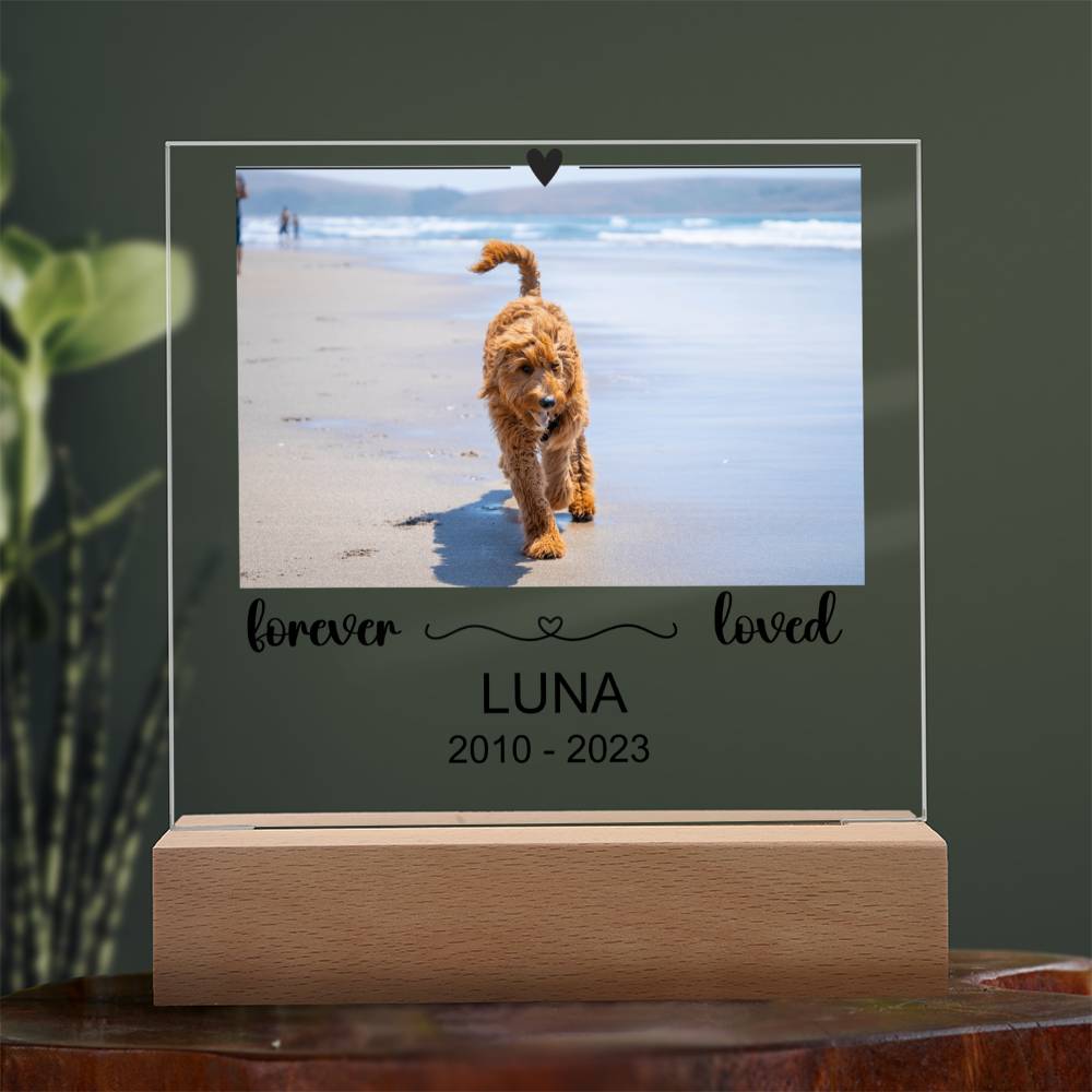 Luna Acryl Plaque