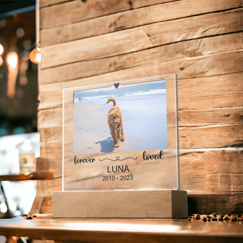 Luna Acryl Plaque
