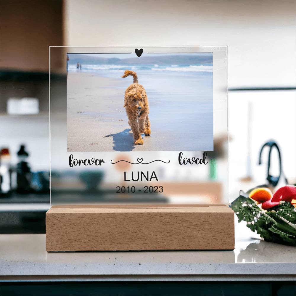 Luna Acryl Plaque