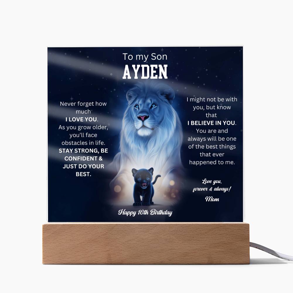 Custom Ayden