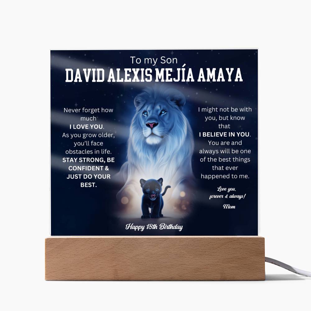 David Alexis Mejía Amaya