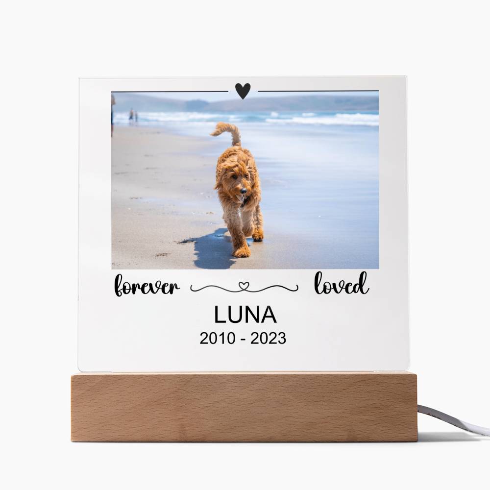 Luna Acryl Plaque