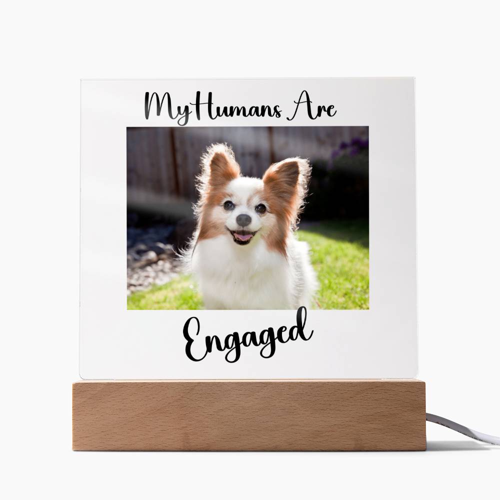 My Humans Are Engaged - Acrylic Square Plaque
