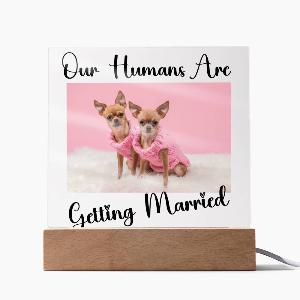 Our Humans Are Getting Married - Acrylic Square Plaque