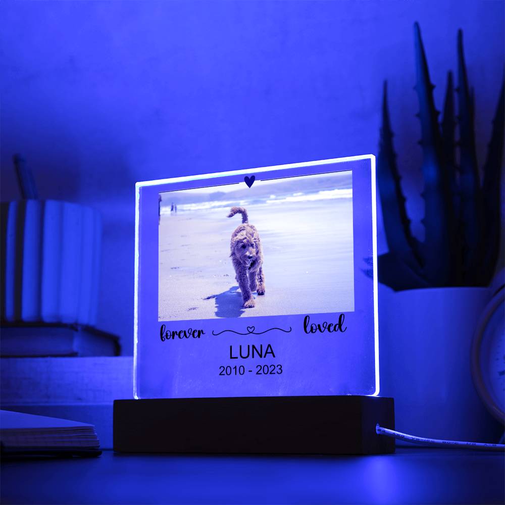 Luna Acryl Plaque