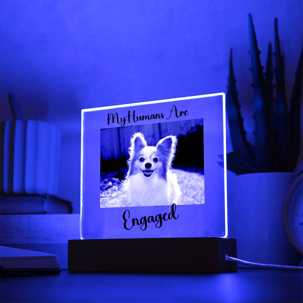 My Humans Are Engaged - Acrylic Square Plaque