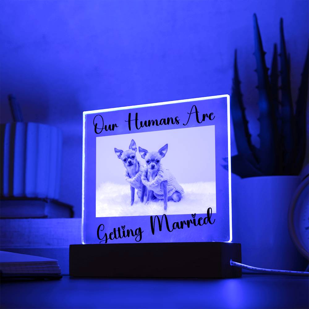 Our Humans Are Getting Married - Acrylic Square Plaque