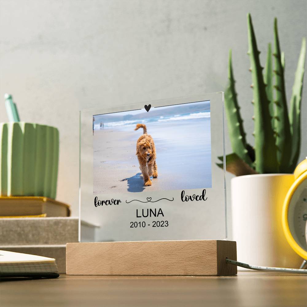 Luna Acryl Plaque