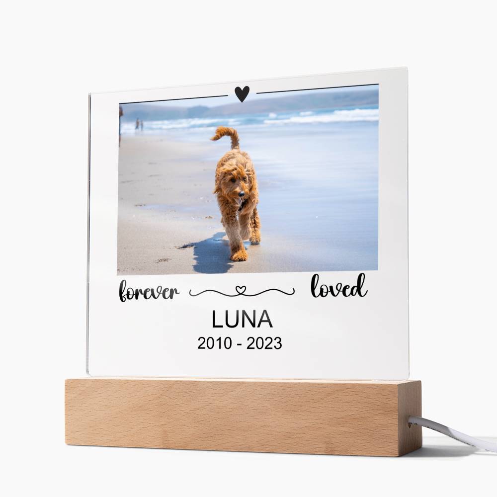Luna Acryl Plaque