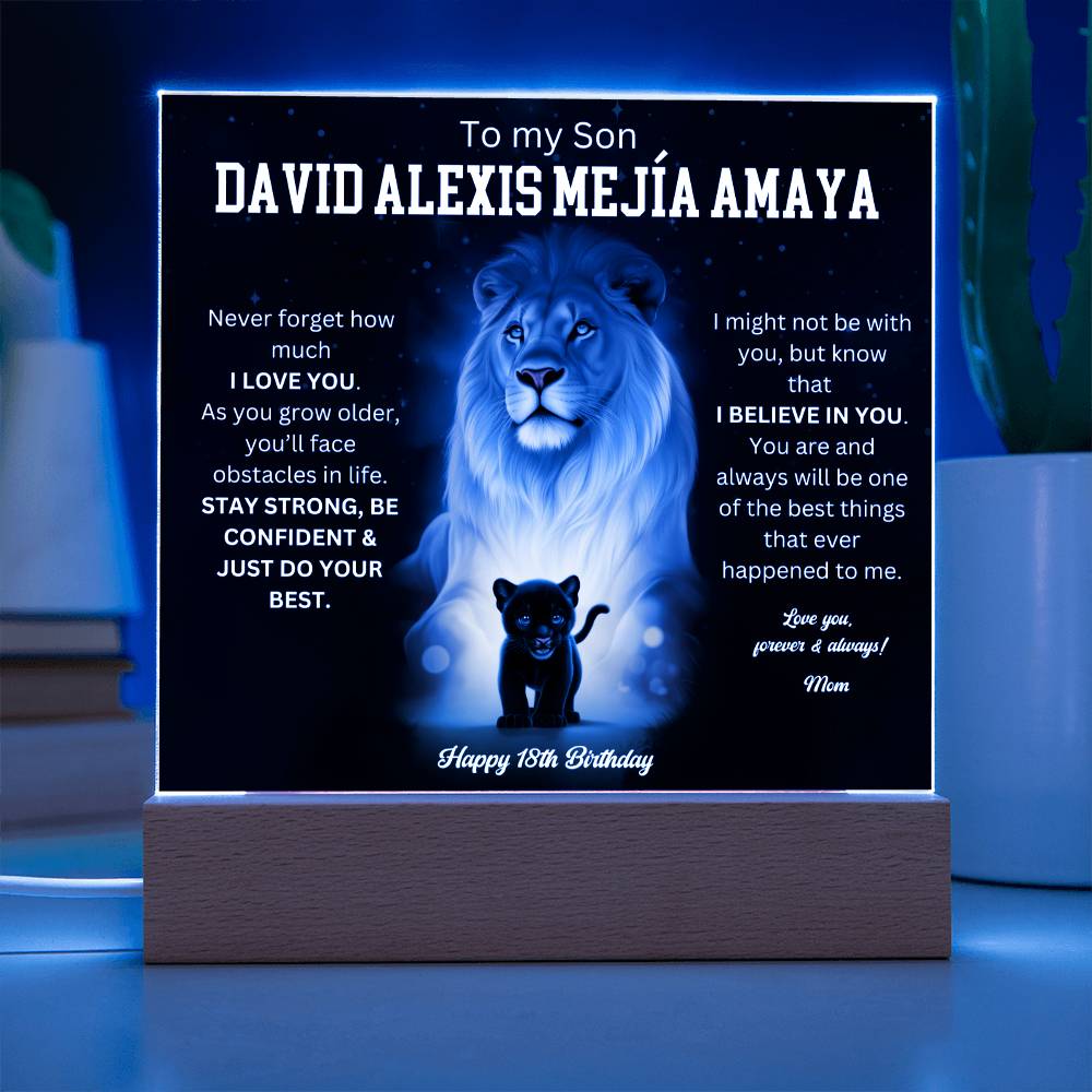 David Alexis Mejía Amaya