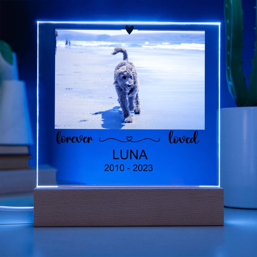 Luna Acryl Plaque