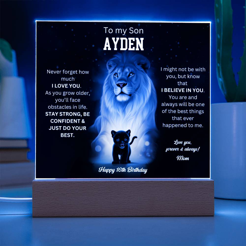 Custom Ayden