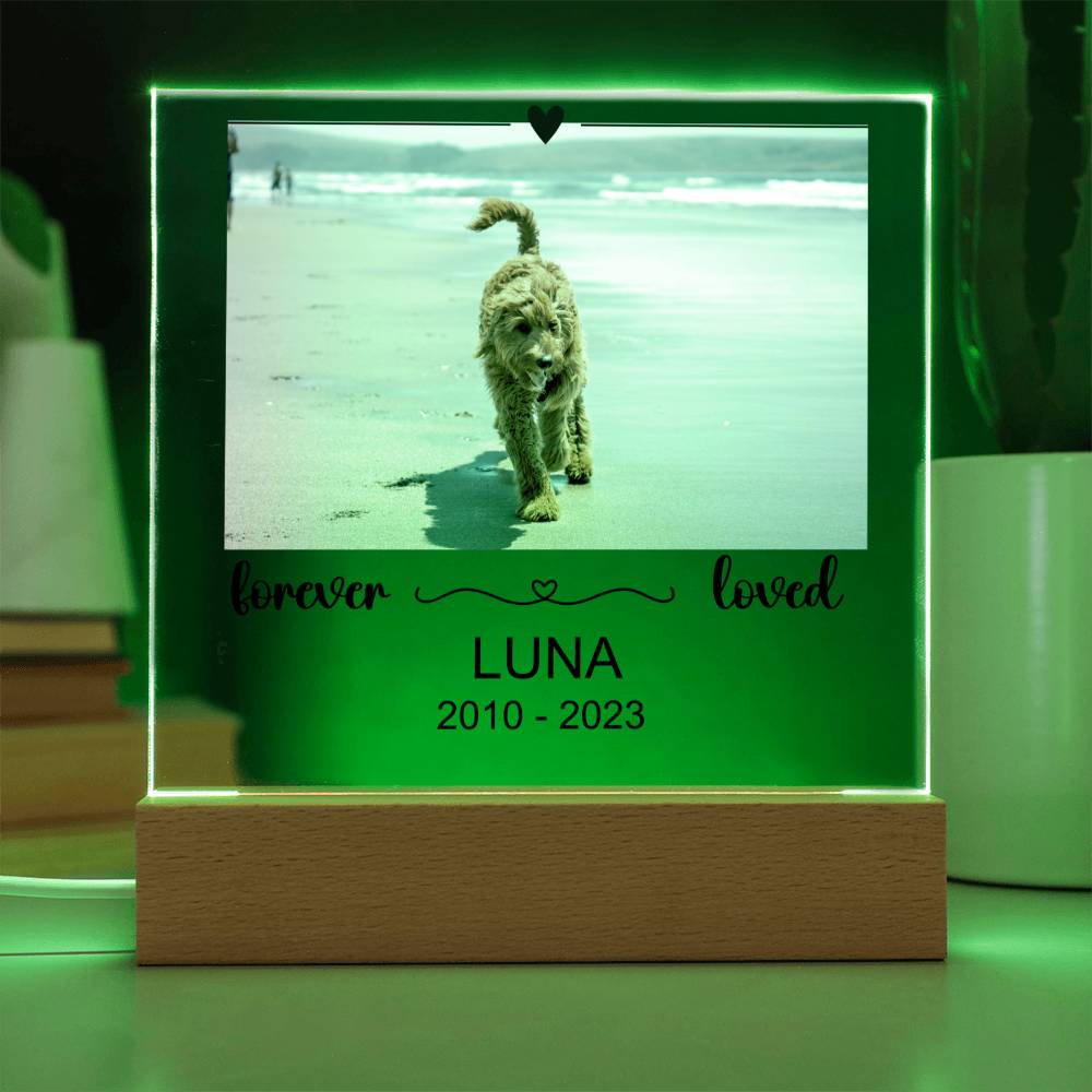 Luna Acryl Plaque