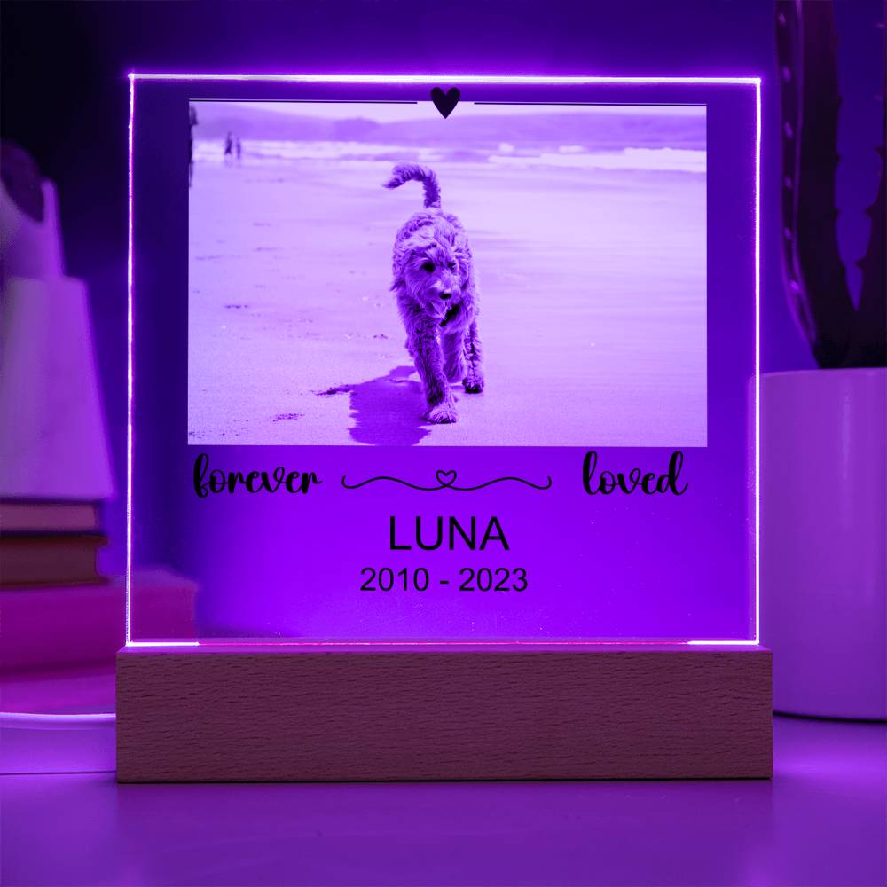 Luna Acryl Plaque