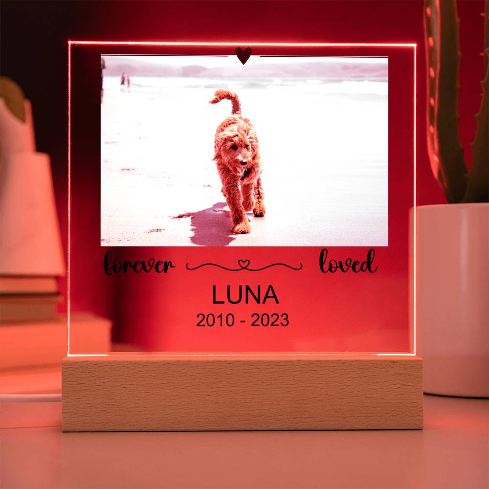 Luna Acryl Plaque