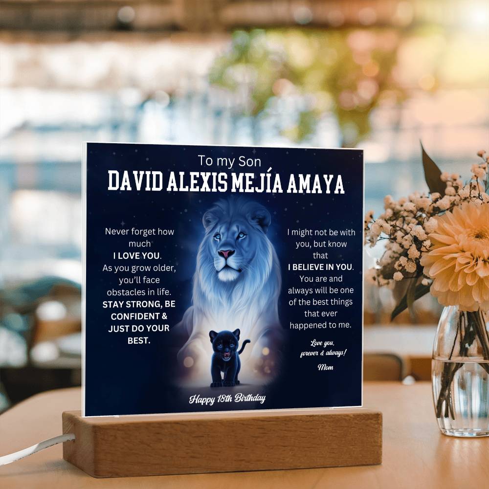 David Alexis Mejía Amaya