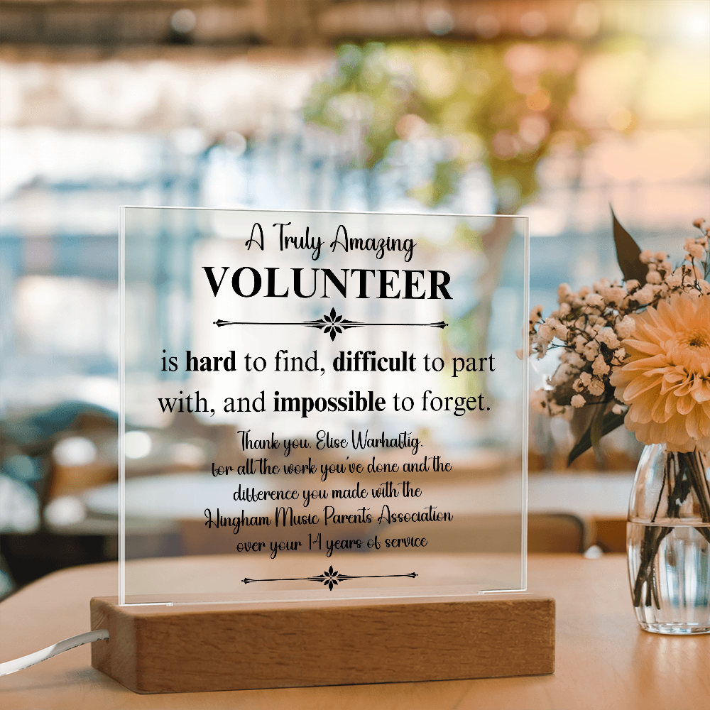 elisevolunteer