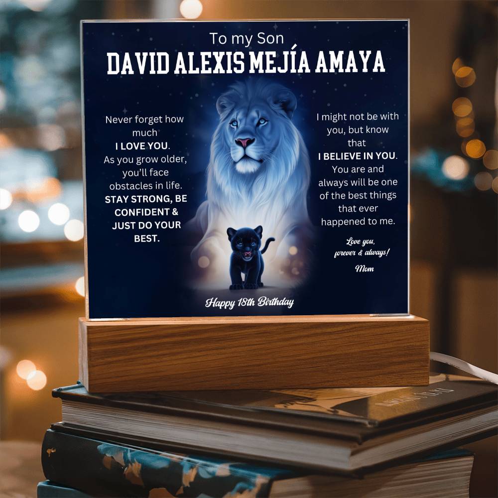 David Alexis Mejía Amaya