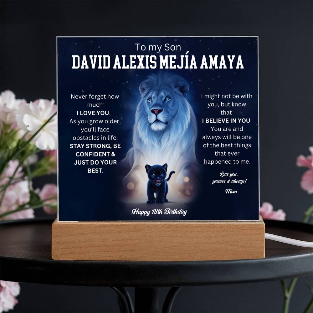 David Alexis Mejía Amaya