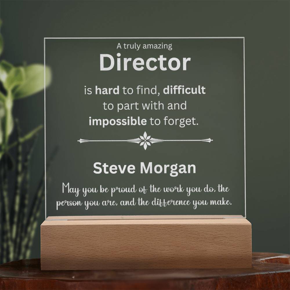 Custom Steve