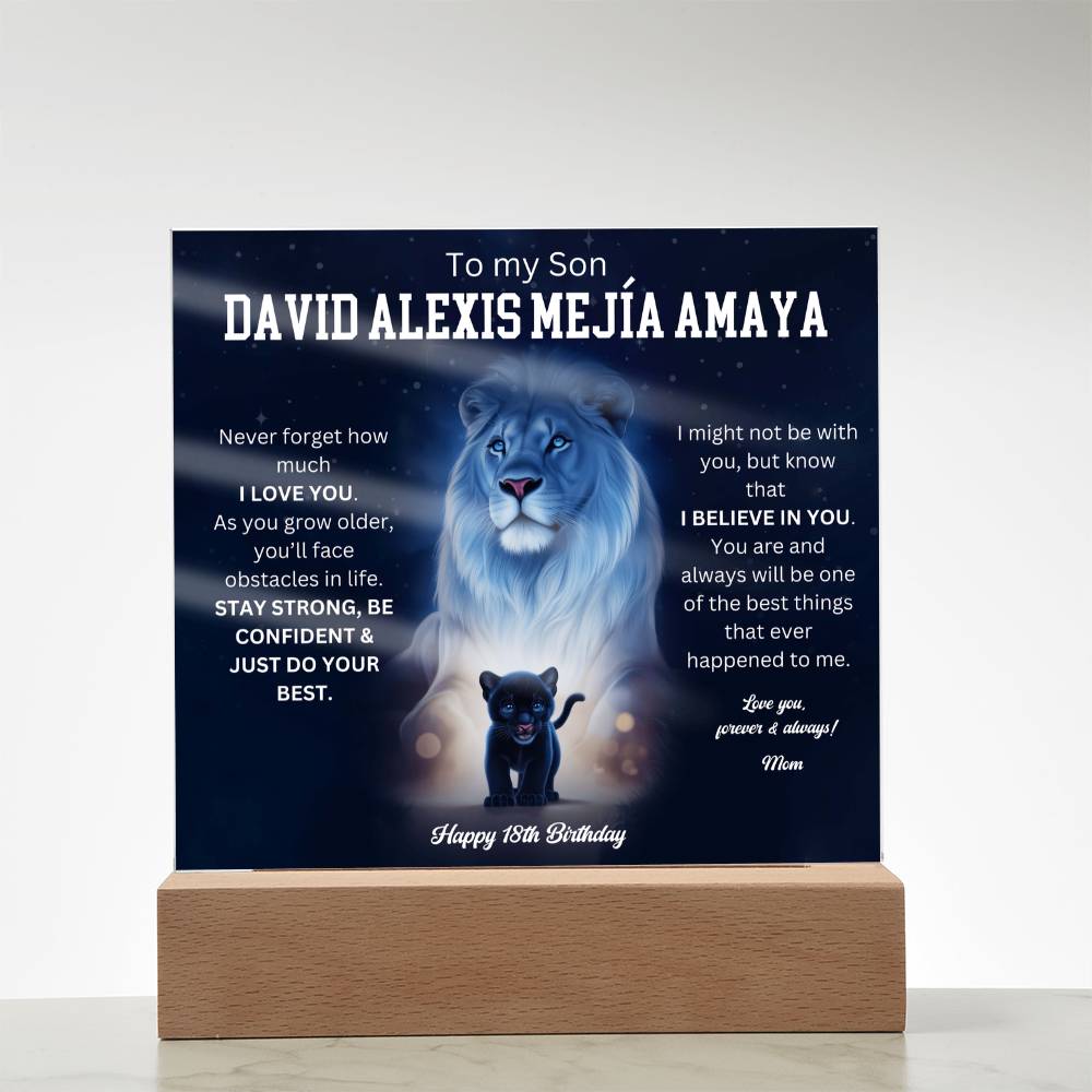 David Alexis Mejía Amaya