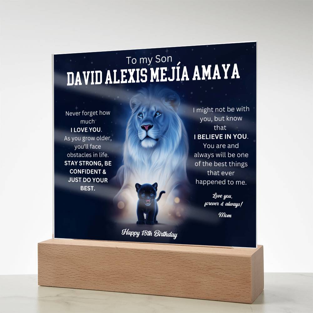 David Alexis Mejía Amaya