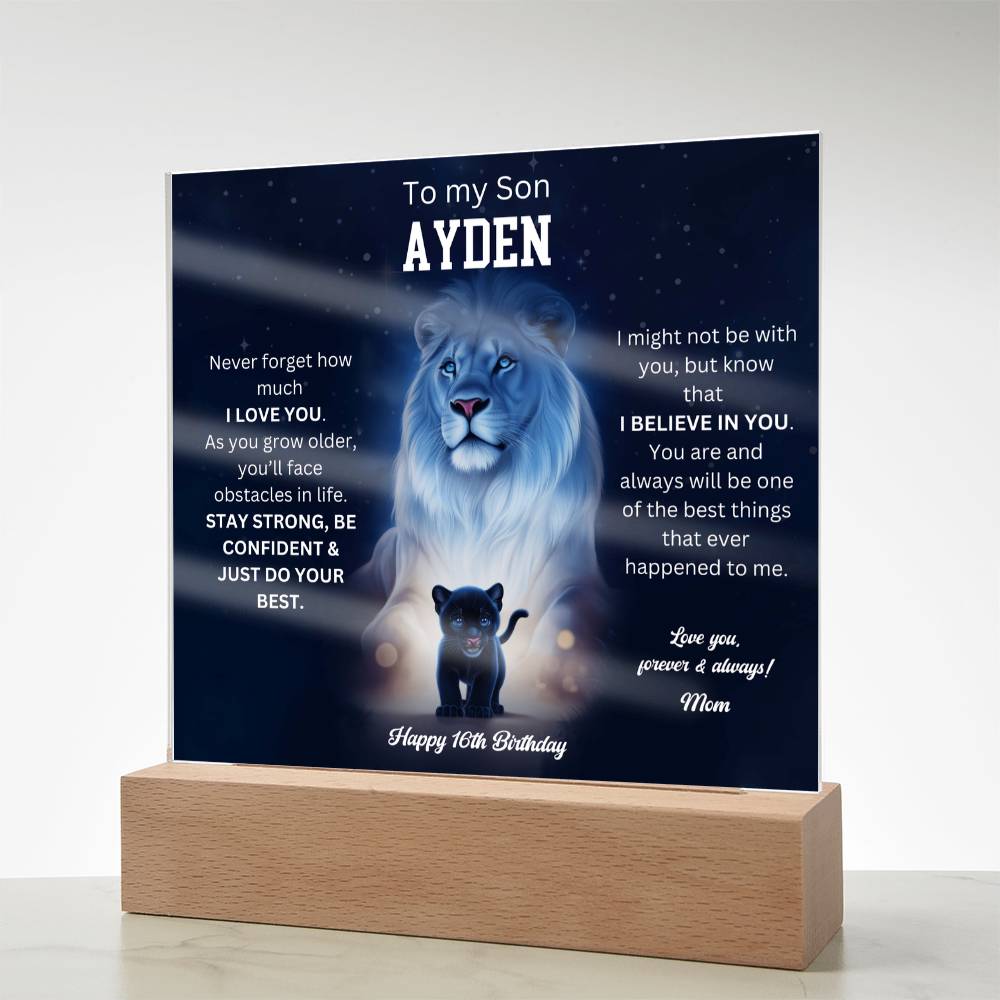 Custom Ayden