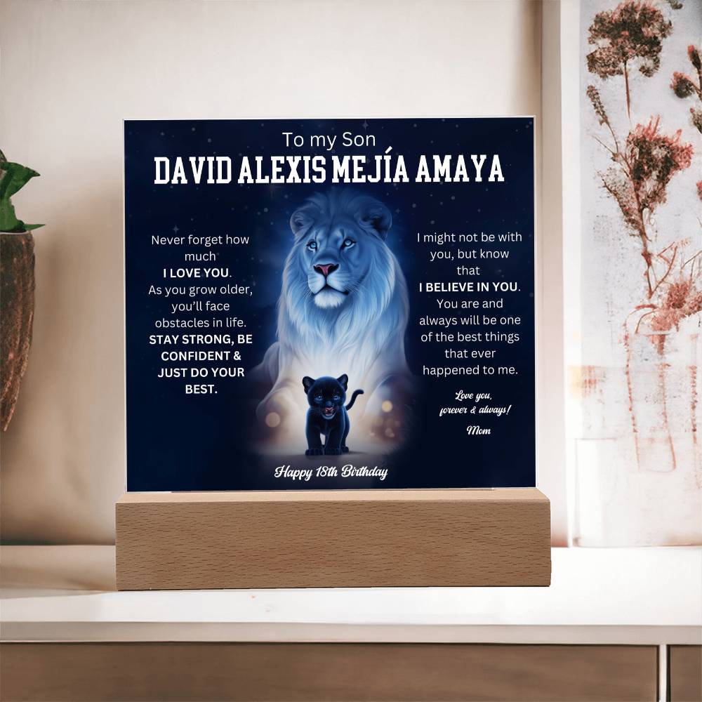 David Alexis Mejía Amaya