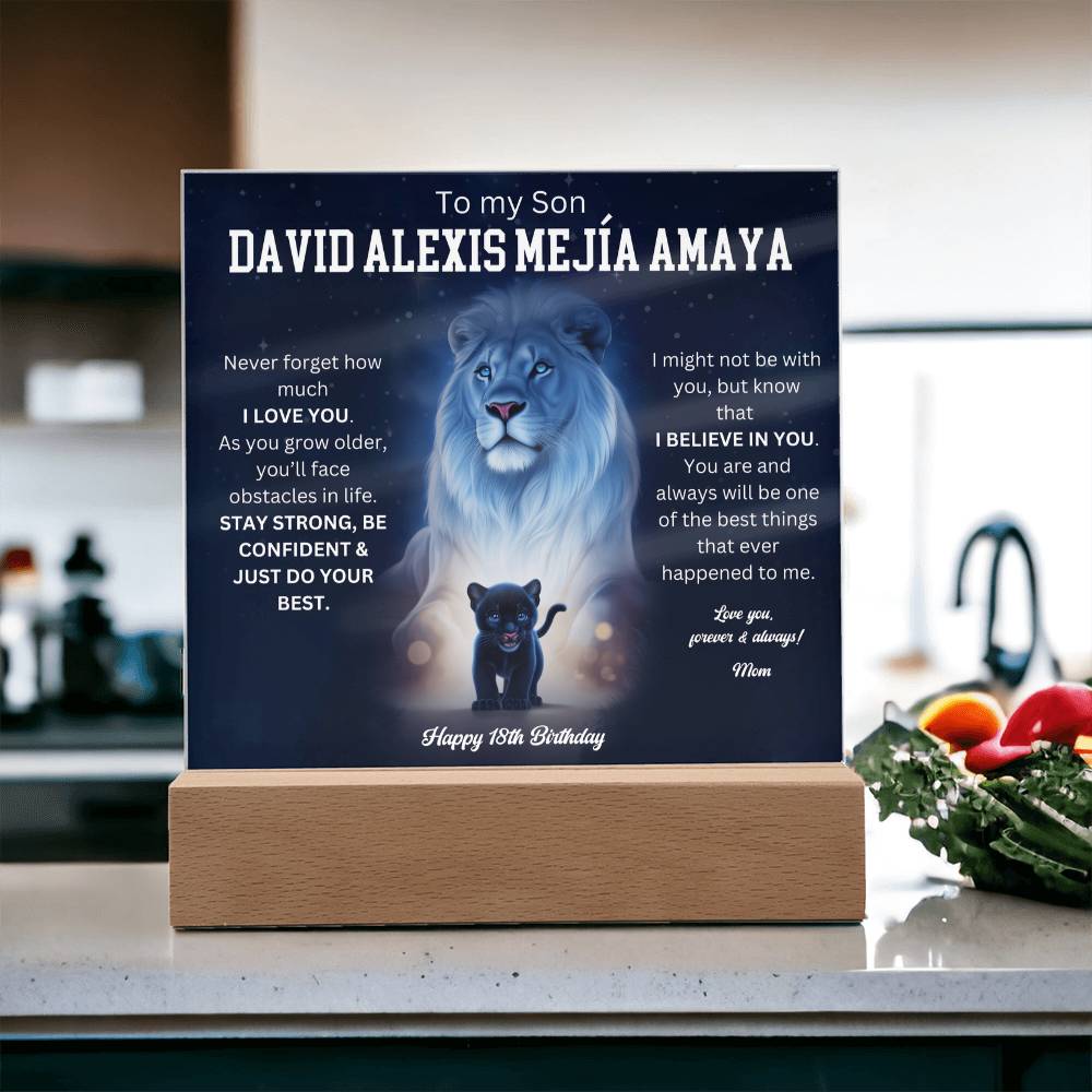 David Alexis Mejía Amaya