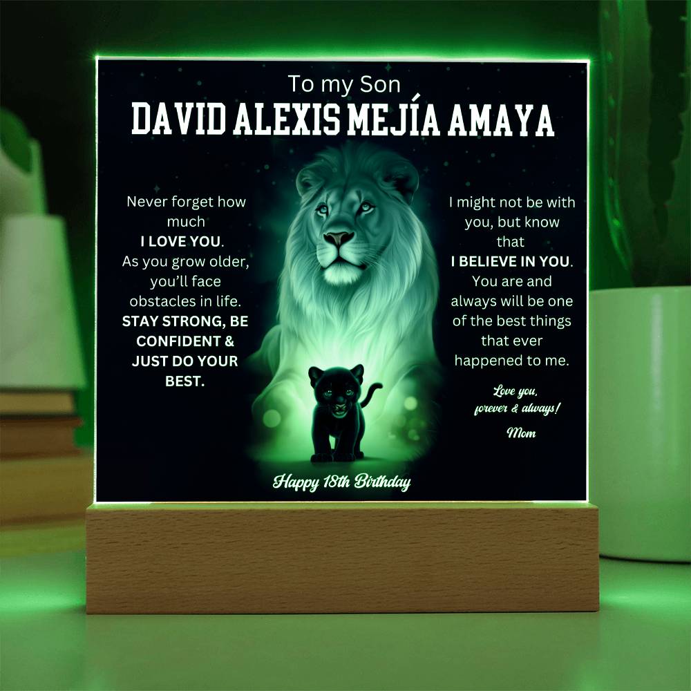 David Alexis Mejía Amaya