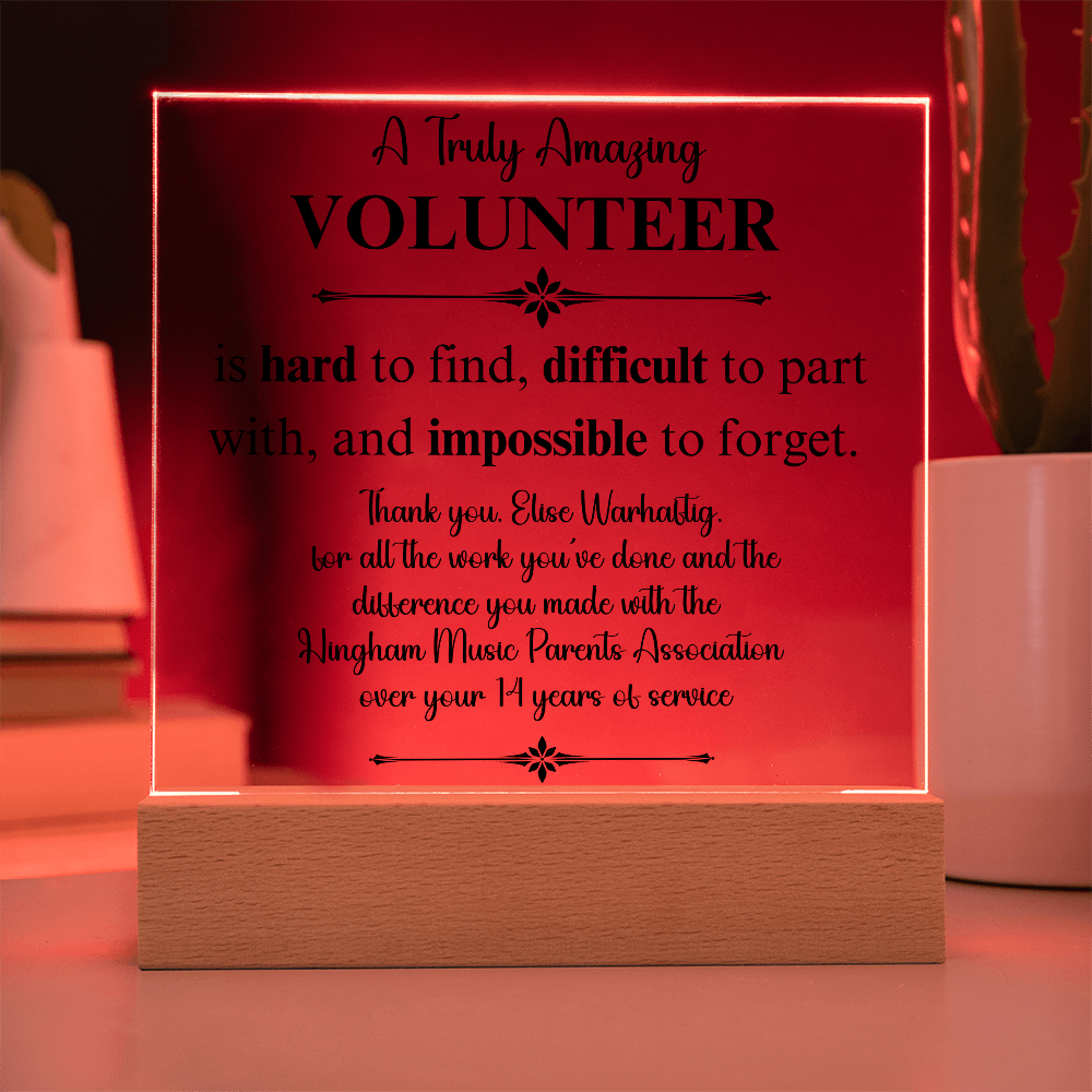 elisevolunteer