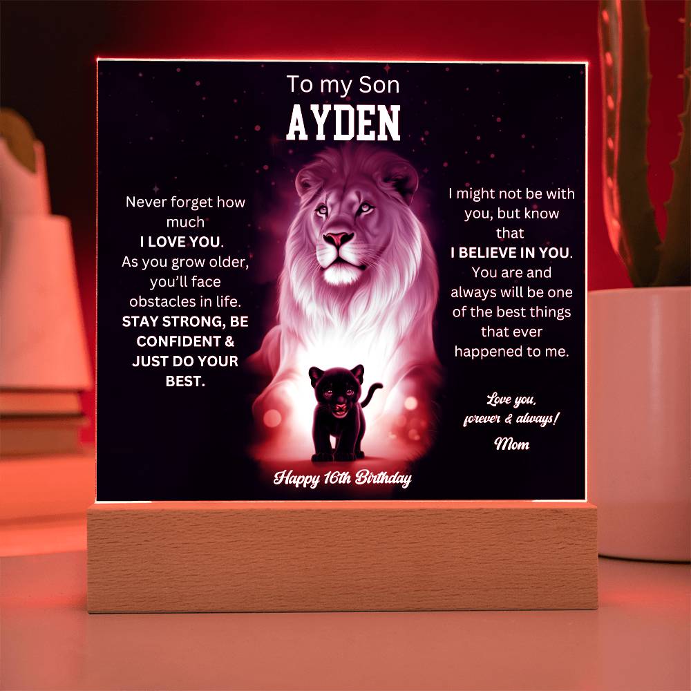 Custom Ayden