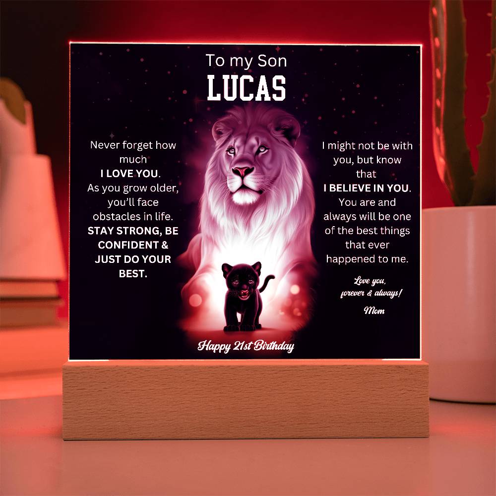 21st Birthday Gift To My Son Acrylic Plaque