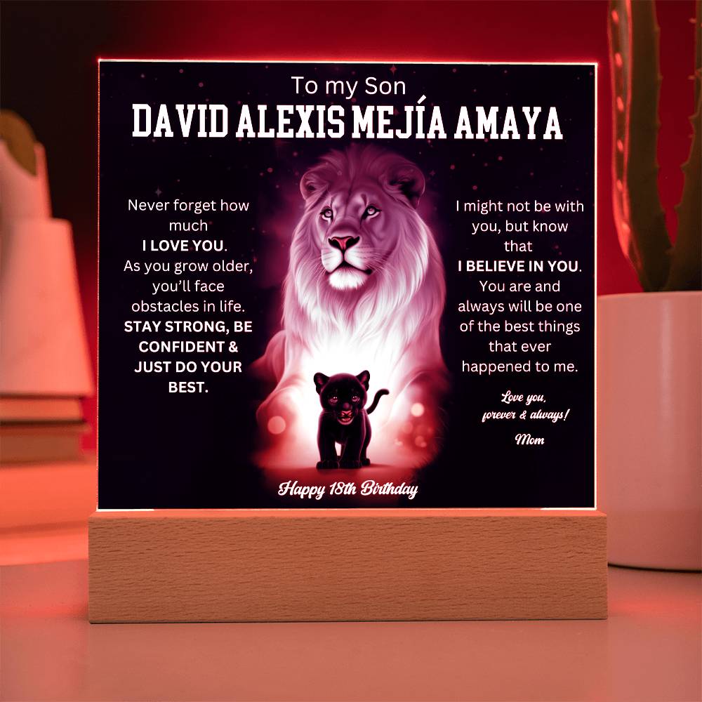 David Alexis Mejía Amaya